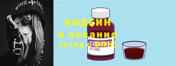 амф Кулебаки
