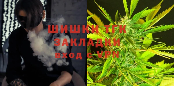 дмт Кукмор