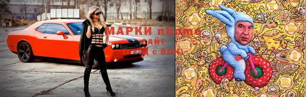 дмт Кукмор