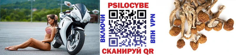 Купить  Кизел  Галлюциногенные грибы прущие грибы 